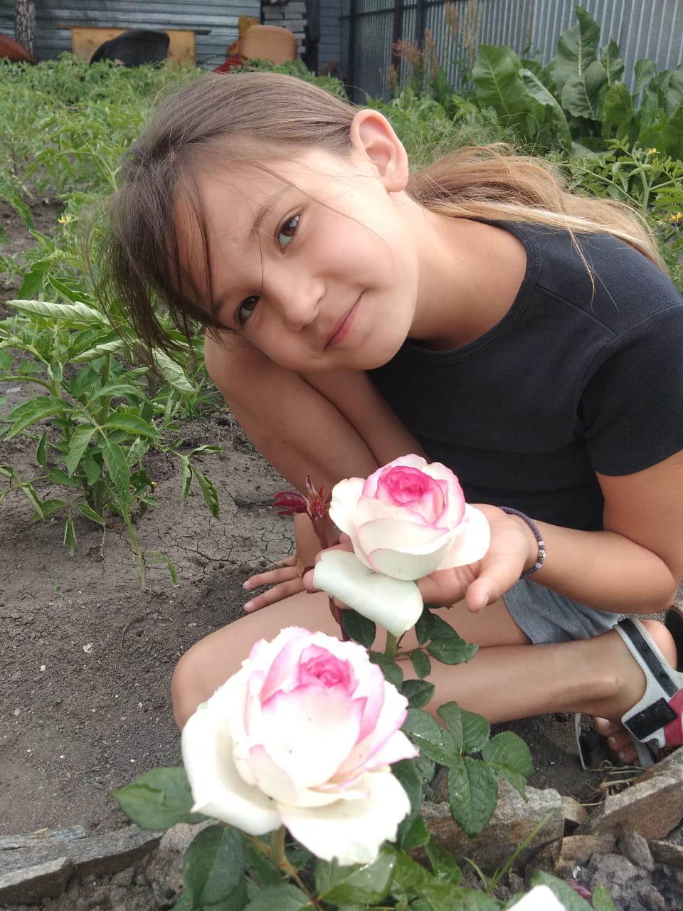 foto